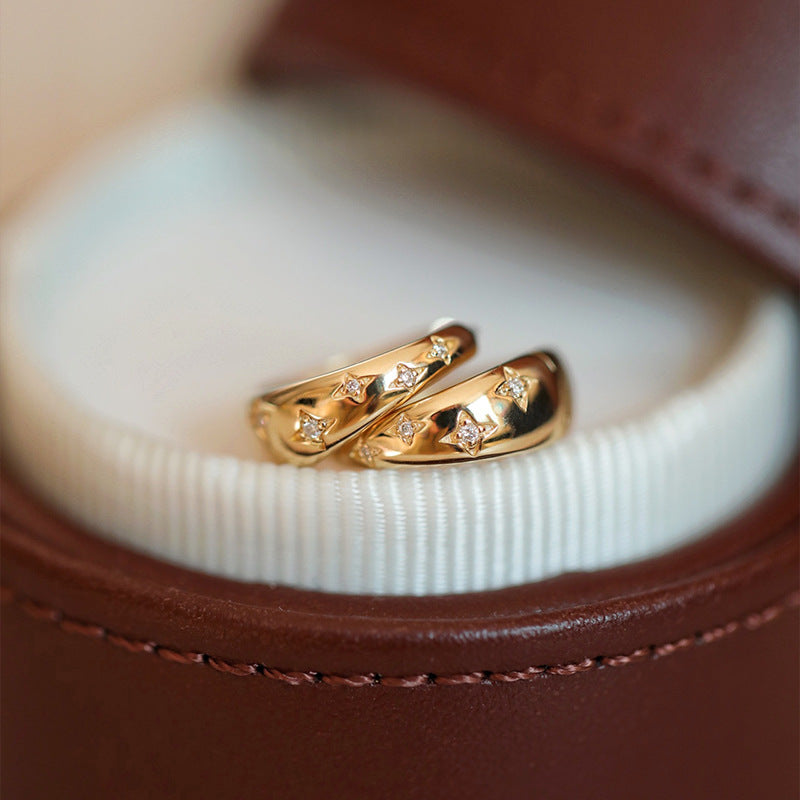 Luxury Gold and Silver Earrings