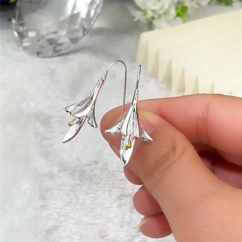 Elegant Silver Earrings